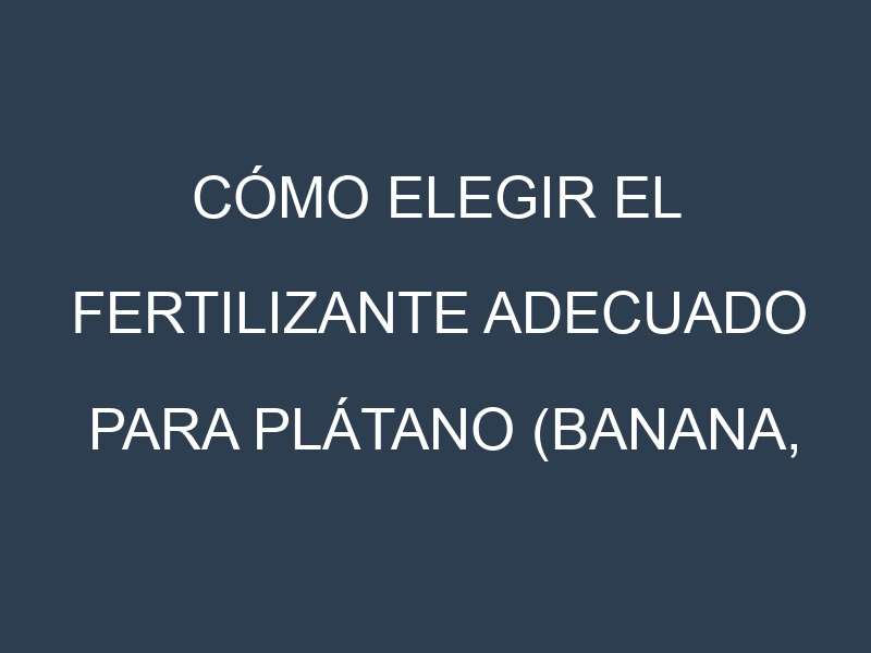 Cómo Elegir el Fertilizante Adecuado para Plátano (Banana, guineo)