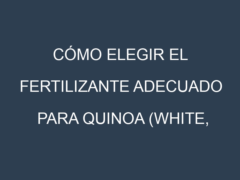 Cómo Elegir el Fertilizante Adecuado para Quinoa (White, Red, Black, Tri-color, Rainbow)
