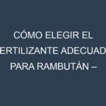 Cómo Elegir el Fertilizante Adecuado para Rambután – Rambutan