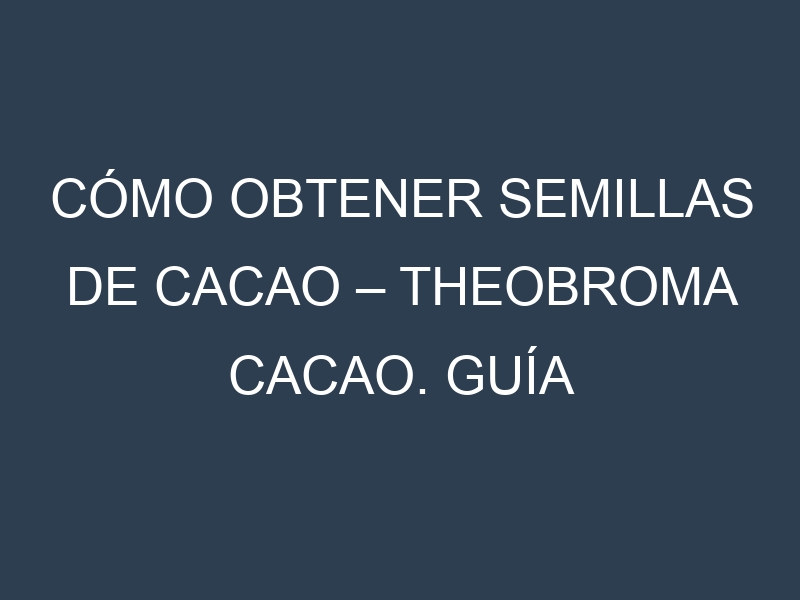 Cómo obtener semillas de Cacao – Theobroma cacao. Guía paso a paso. Técnicas sencillas. Conservación.