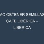 Cómo obtener semillas de Café libérica – Liberica coffee. Guía paso a paso. Técnicas sencillas. Conservación.