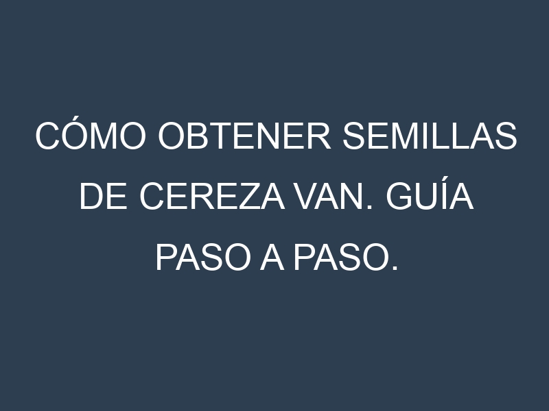 Cómo obtener semillas de Cereza Van. Guía paso a paso. Técnicas sencillas. Conservación.
