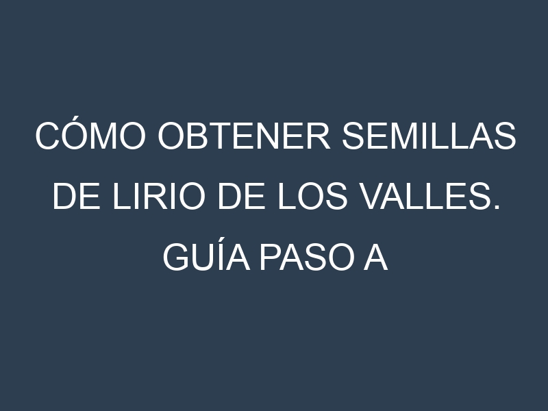 Cómo obtener semillas de Lirio de los valles. Guía paso a paso. Técnicas sencillas. Conservación.