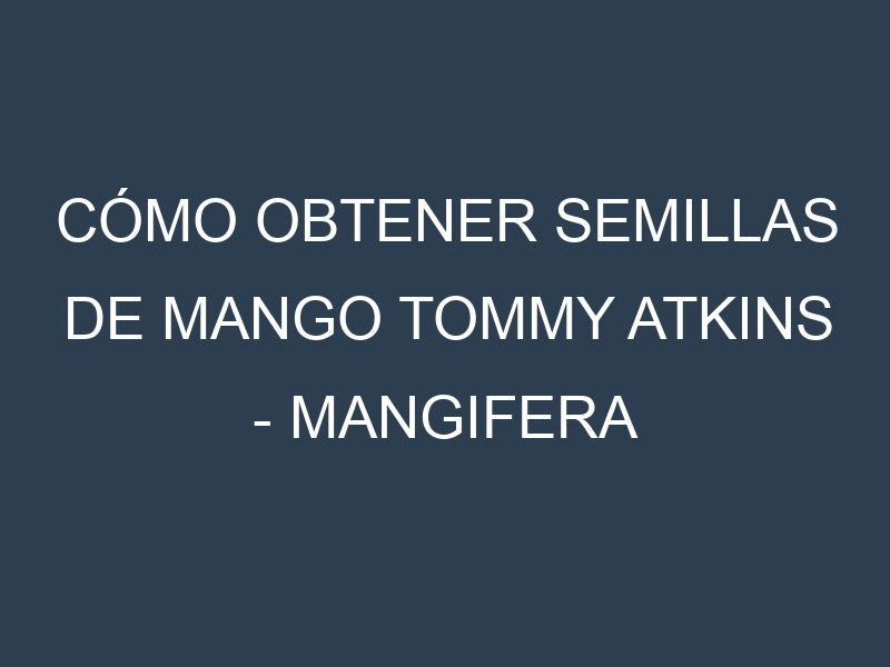 Cómo obtener semillas de Mango Tommy Atkins – Mangifera indica. Guía paso a paso. Técnicas sencillas. Conservación.