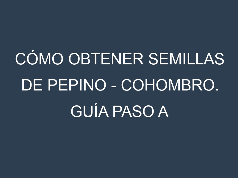 Cómo obtener semillas de Pepino – Cohombro. Guía paso a paso. Técnicas sencillas. Conservación.
