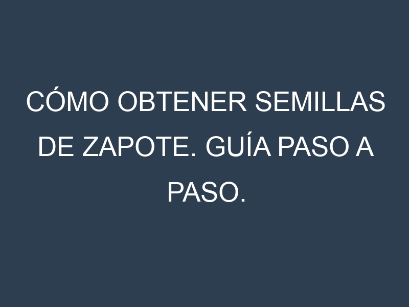 Cómo obtener semillas de Zapote. Guía paso a paso. Técnicas sencillas. Conservación.