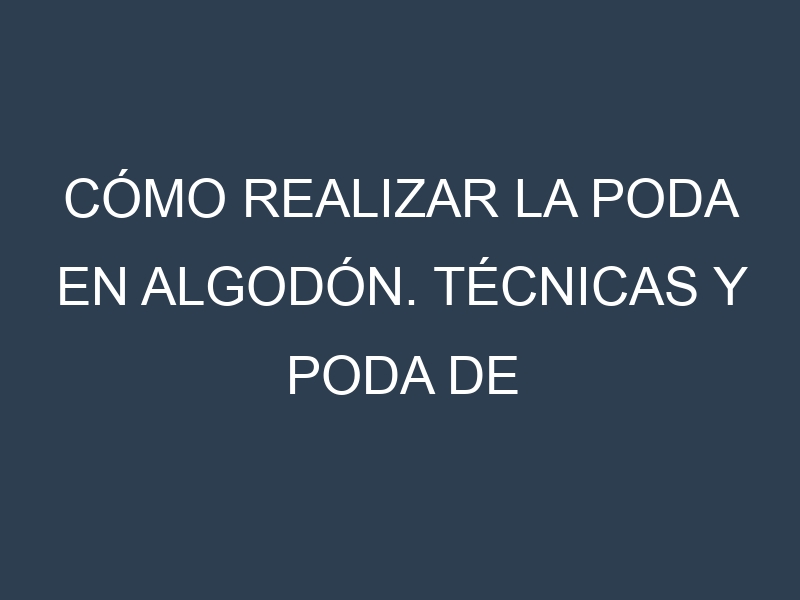 Cómo Realizar la Poda en Algodón. Técnicas y Poda de formación.