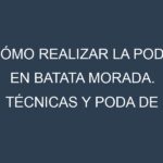 Cómo Realizar la Poda en Batata morada. Técnicas y Poda de formación.