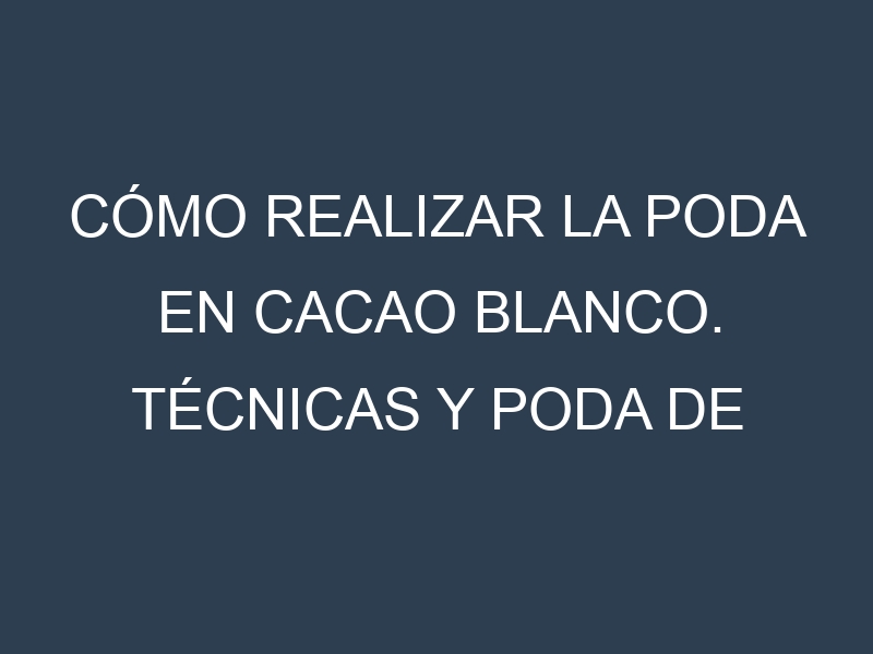 Cómo Realizar la Poda en Cacao blanco. Técnicas y Poda de formación.