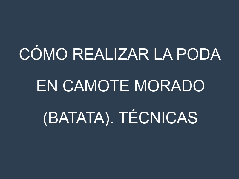 Cómo Realizar la Poda en Camote morado (batata). Técnicas y Poda de formación.