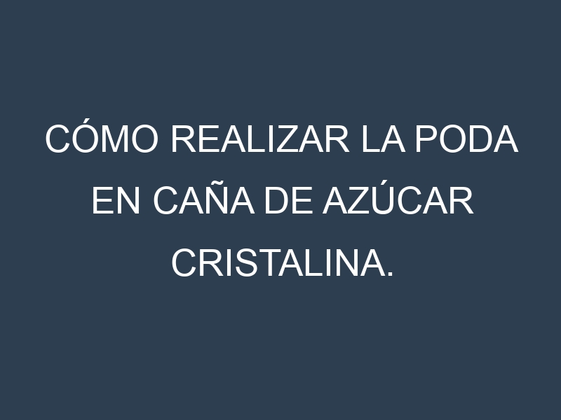 Cómo Realizar la Poda en Caña de azúcar cristalina. Técnicas y Poda de formación.