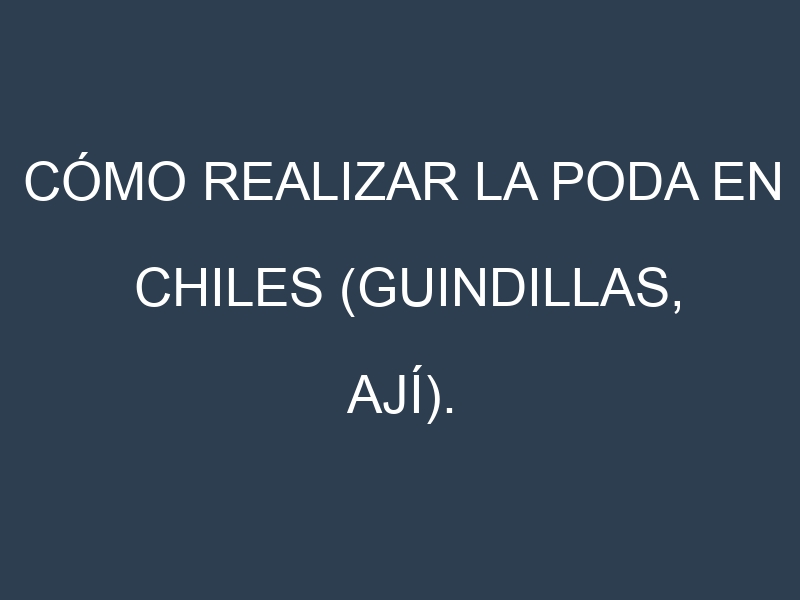 Cómo Realizar la Poda en Chiles (guindillas, ají). Técnicas y Poda de formación.