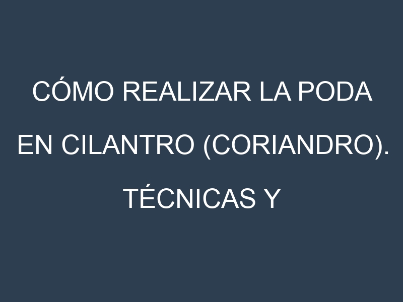 Cómo Realizar la Poda en Cilantro (coriandro). Técnicas y Poda de formación.