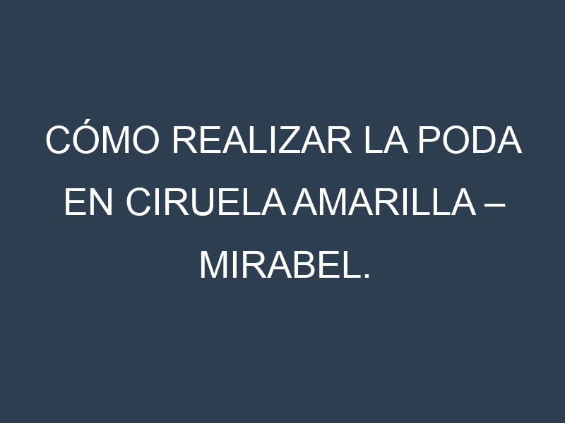Cómo Realizar la Poda en Ciruela amarilla – Mirabel. Técnicas y Poda de formación.