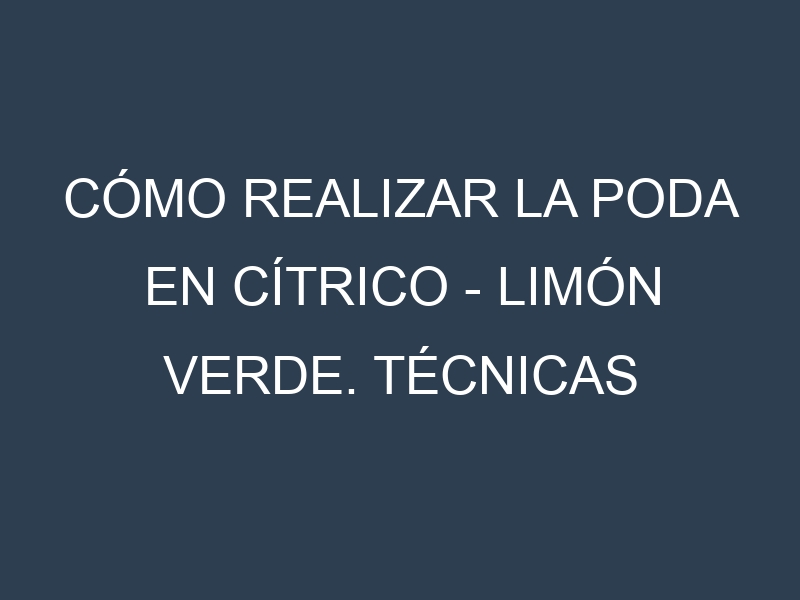 Cómo Realizar la Poda en Cítrico – Limón verde. Técnicas y Poda de formación.