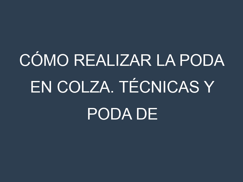 Cómo Realizar la Poda en Colza. Técnicas y Poda de formación.