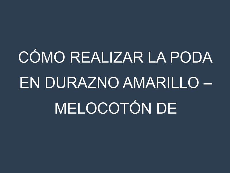 Cómo Realizar la Poda en Durazno amarillo – Melocotón de viña. Técnicas y Poda de formación.