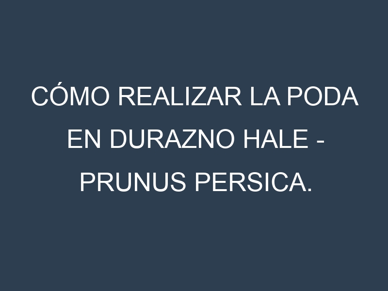 Cómo Realizar la Poda en Durazno Hale – Prunus persica. Técnicas y Poda de formación.