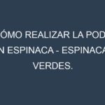 Cómo Realizar la Poda en Espinaca – Espinacas verdes. Técnicas y Poda de formación.