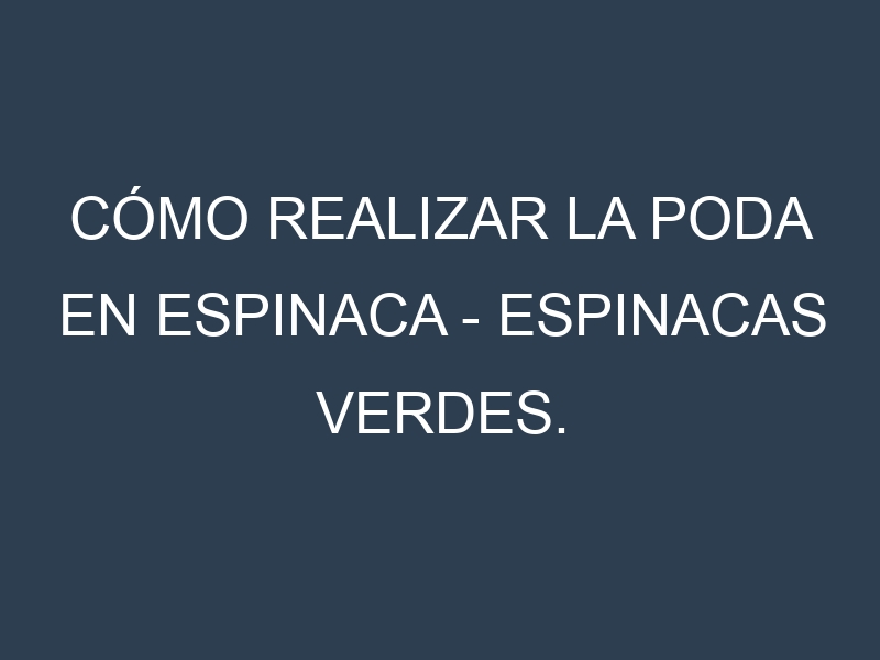 Cómo Realizar la Poda en Espinaca – Espinacas verdes. Técnicas y Poda de formación.