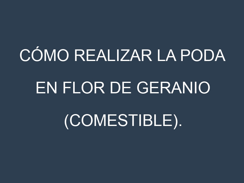 Cómo Realizar la Poda en Flor de geranio (comestible). Técnicas y Poda de formación.