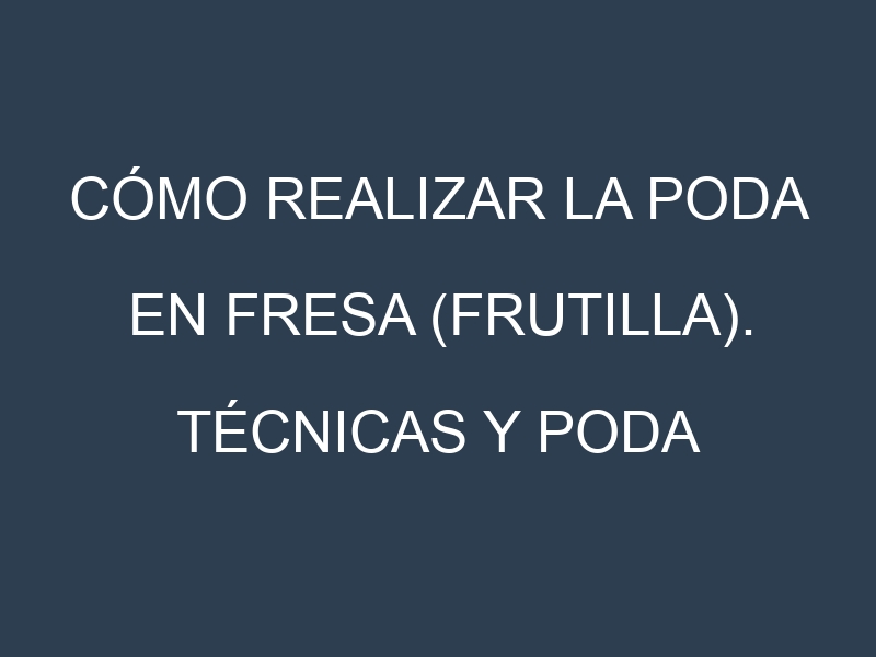 Cómo Realizar la Poda en Fresa (frutilla). Técnicas y Poda de formación.