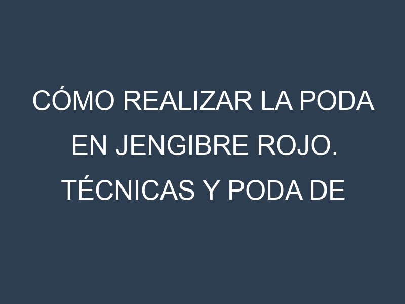 Cómo Realizar la Poda en Jengibre rojo. Técnicas y Poda de formación.