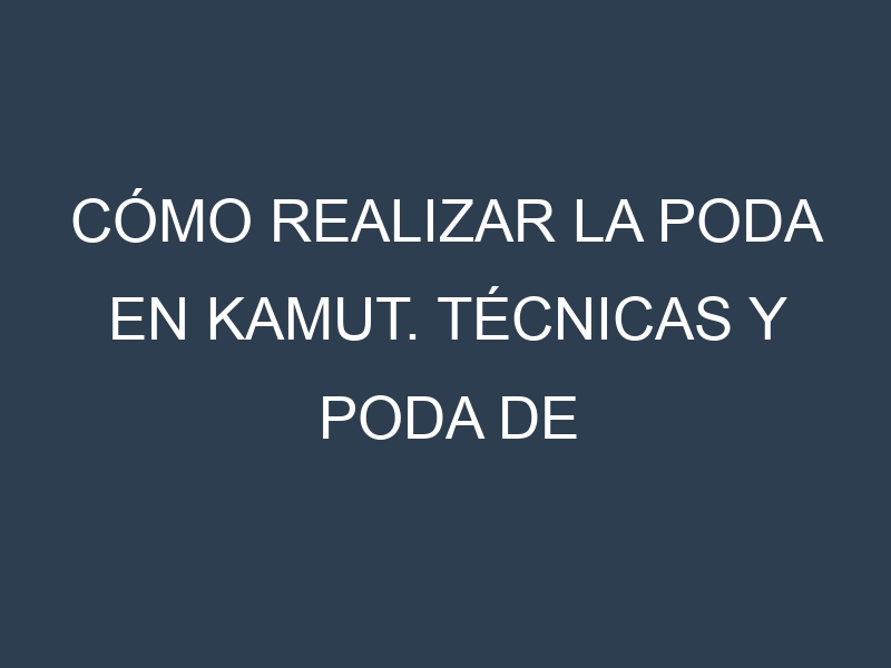 Cómo Realizar la Poda en Kamut. Técnicas y Poda de formación.
