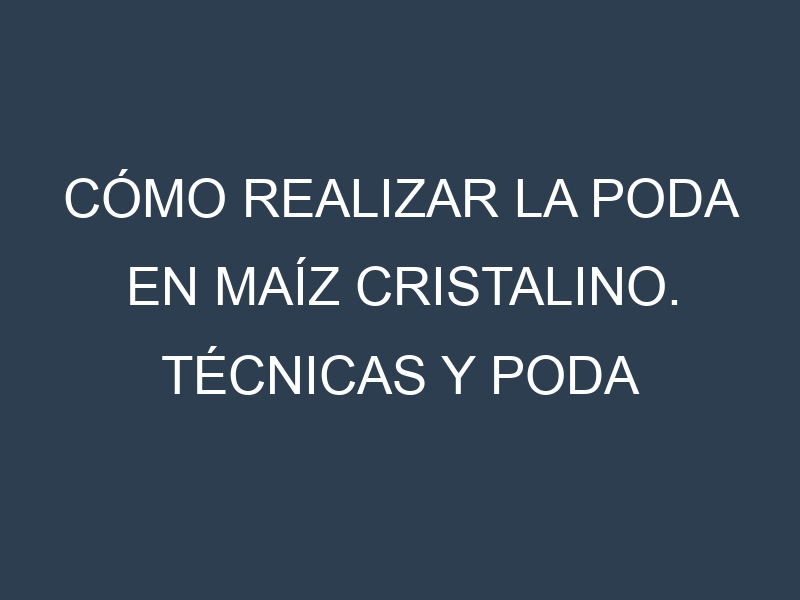 Cómo Realizar la Poda en Maíz cristalino. Técnicas y Poda de formación.