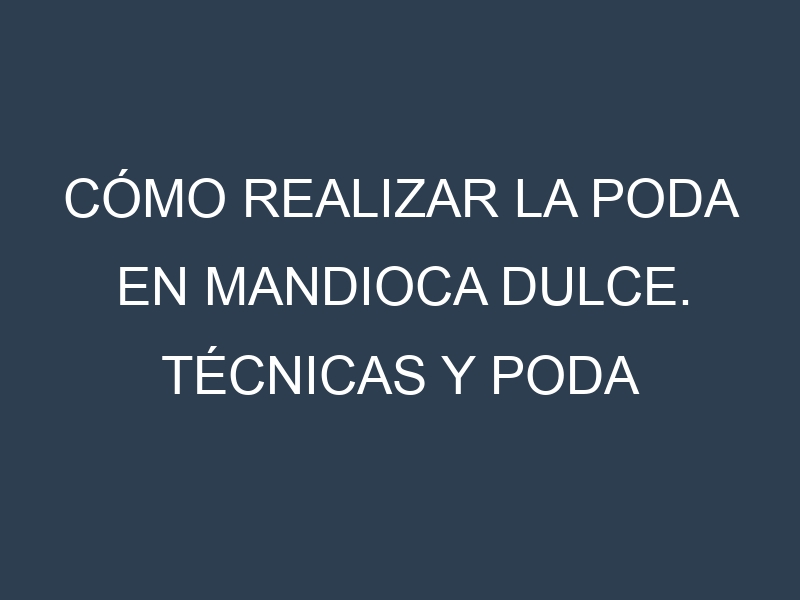 Cómo Realizar la Poda en Mandioca dulce. Técnicas y Poda de formación.