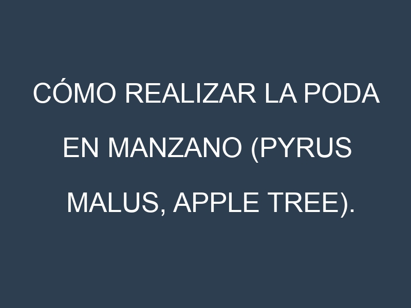 Cómo Realizar la Poda en Manzano (Pyrus malus, apple tree). Técnicas y Poda de formación.