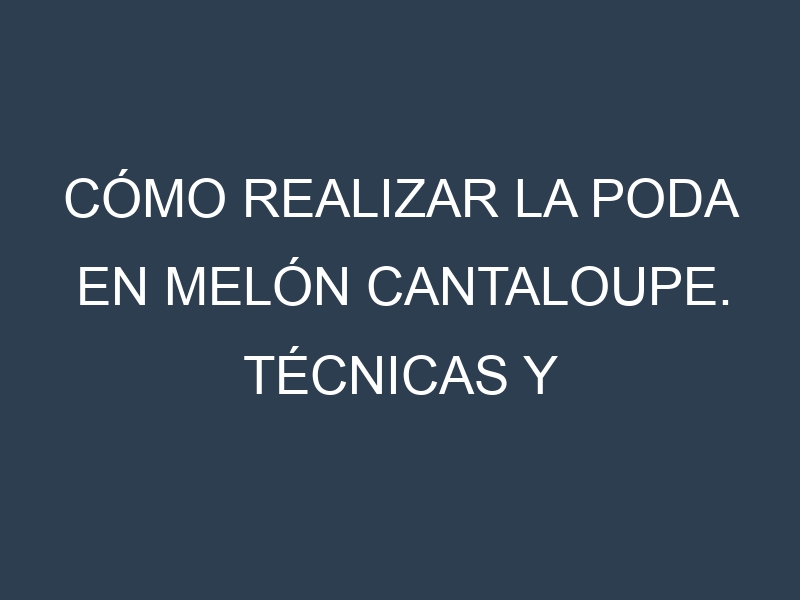 Cómo Realizar la Poda en Melón Cantaloupe. Técnicas y Poda de formación.