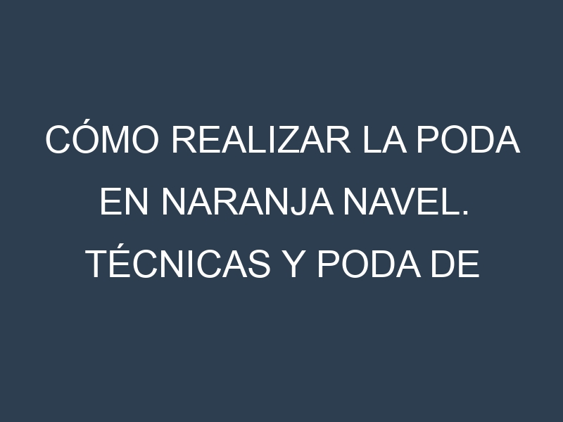 Cómo Realizar la Poda en Naranja Navel. Técnicas y Poda de formación.
