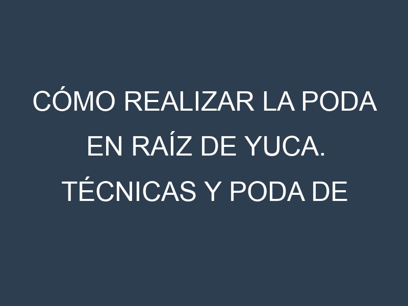 Cómo Realizar la Poda en Raíz de yuca. Técnicas y Poda de formación.