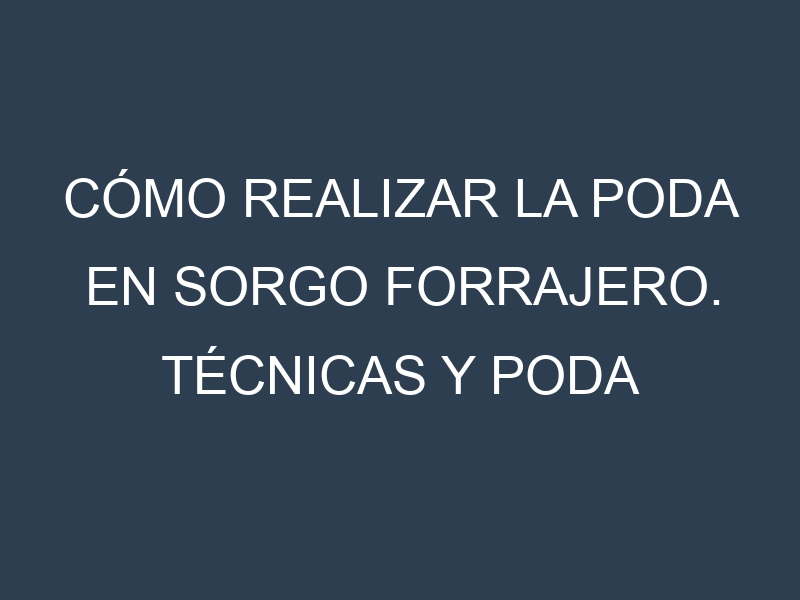 Cómo Realizar la Poda en Sorgo forrajero. Técnicas y Poda de formación.