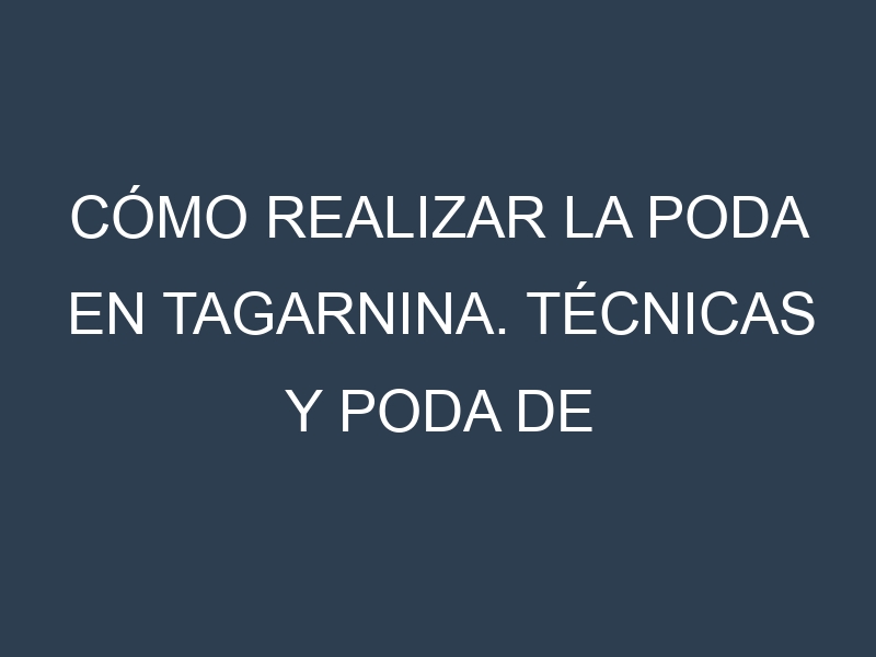 Cómo Realizar la Poda en Tagarnina. Técnicas y Poda de formación.