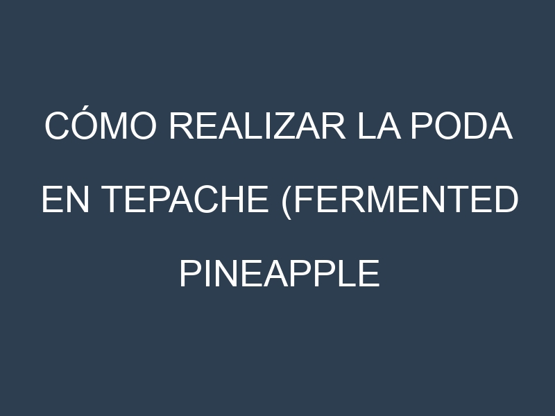 Cómo Realizar la Poda en Tepache (Fermented pineapple drink). Técnicas y Poda de formación.