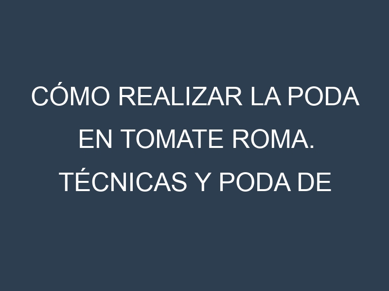 Cómo Realizar la Poda en Tomate Roma. Técnicas y Poda de formación.