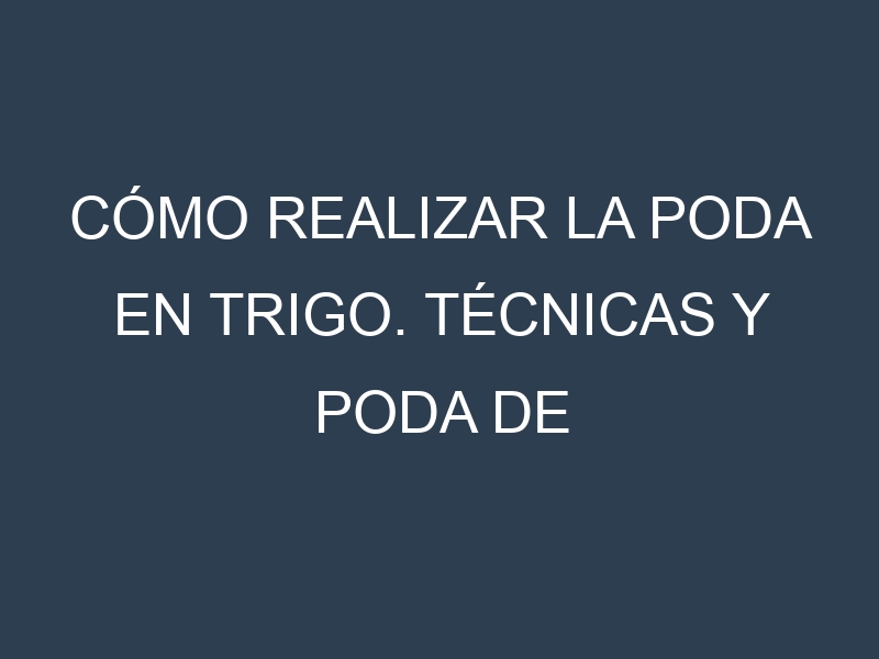 Cómo Realizar la Poda en Trigo. Técnicas y Poda de formación.