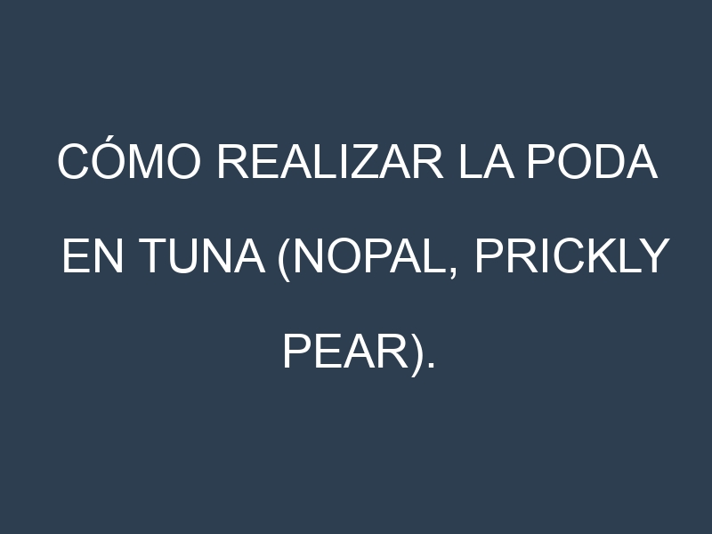 Cómo Realizar la Poda en Tuna (Nopal, prickly pear). Técnicas y Poda de formación.