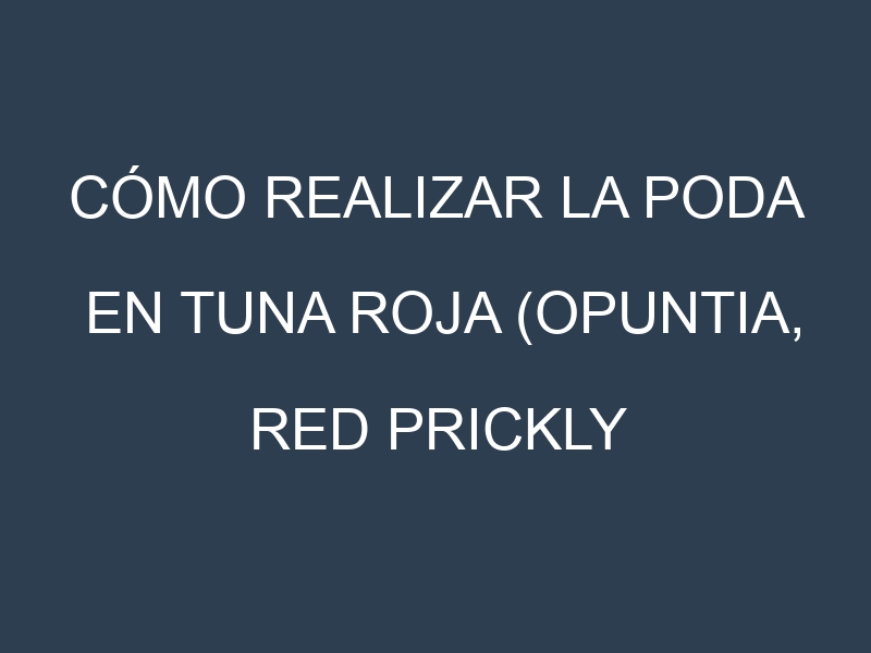 Cómo Realizar la Poda en Tuna roja (Opuntia, red prickly pear). Técnicas y Poda de formación.