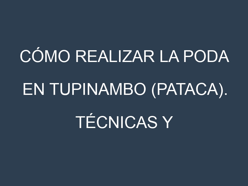 Cómo Realizar la Poda en Tupinambo (pataca). Técnicas y Poda de formación.