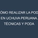 Cómo Realizar la Poda en Uchuva peruana. Técnicas y Poda de formación.