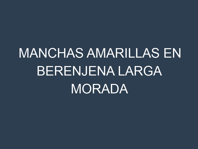 Manchas Amarillas en Berenjena Larga Morada