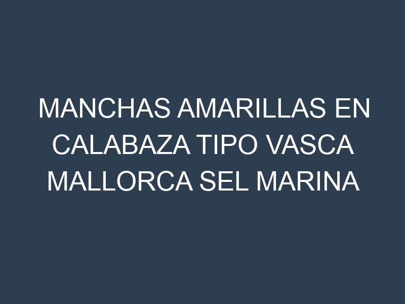 Manchas Amarillas en Calabaza Tipo Vasca Mallorca Sel Marina Ecologica