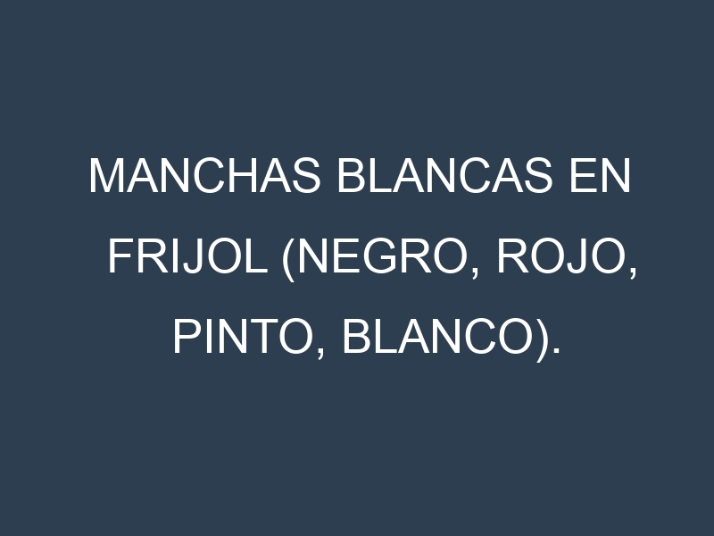 Manchas blancas en Frijol (Negro, Rojo, Pinto, Blanco). Manchas hojas blancas en Frijol (Negro, Rojo, Pinto, Blanco).