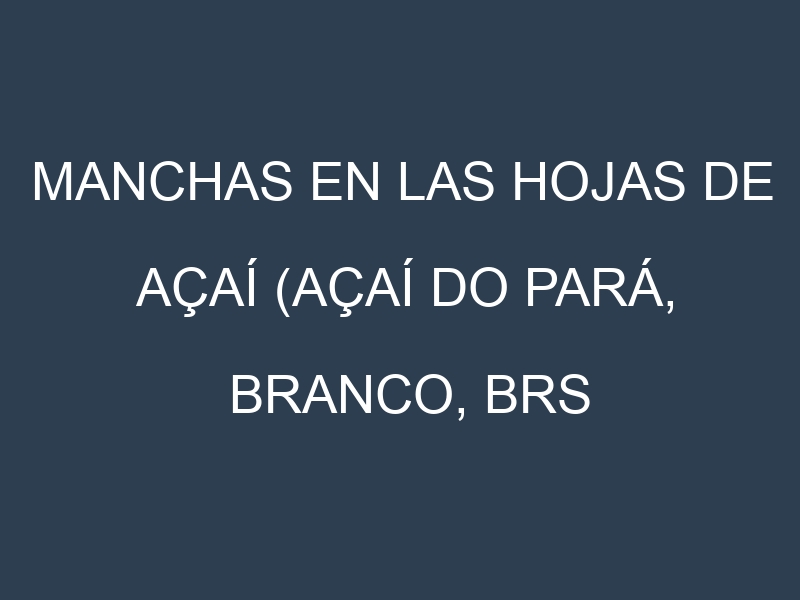 Manchas en las hojas de Açaí (Açaí Do Pará, Branco, BRS Pará, Violeta, Sabará): Identificación, Causas y Estrategias de Control Efectivo