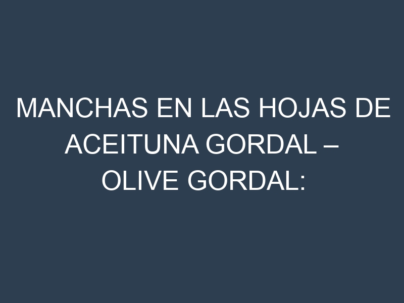 Manchas en las hojas de Aceituna gordal – Olive gordal: Identificación, Causas y Estrategias de Control Efectivo