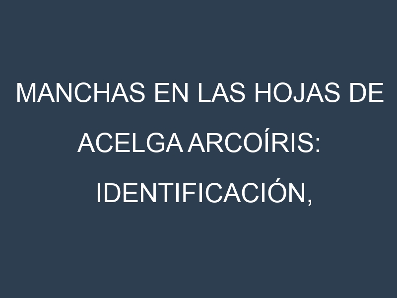 Manchas en las hojas de Acelga arcoíris: Identificación, Causas y Estrategias de Control Efectivo