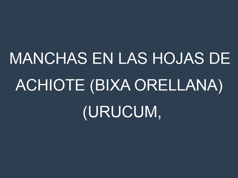 Manchas en las hojas de Achiote (Bixa orellana) (Urucum, Annatto, Onoto, Achiotillo, Indian Achiote): Identificación, Causas y Estrategias de Control Efectivo